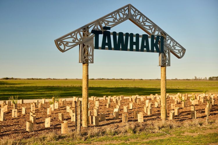 Tawhaki Entrance Steel